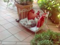 /album/minou-la-gattina-di-casa/a2012-09-08-11-19-07-jpg/